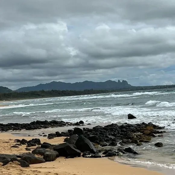 The Poshalots live listing! - Picture 7 of 7